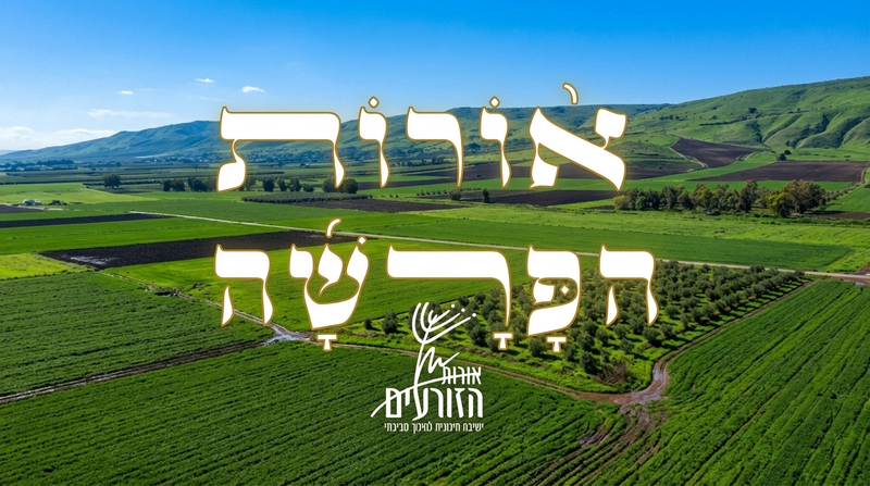 אורות הפרשה - ספר ויקרא