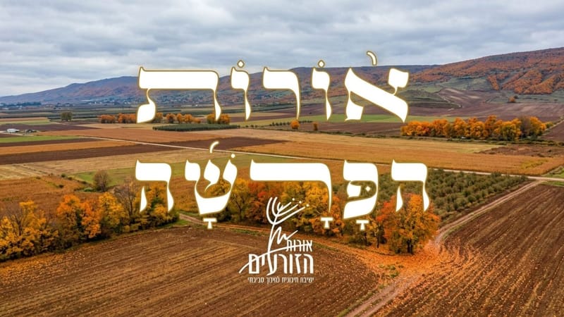 אורות הפרשה - ספר דברים