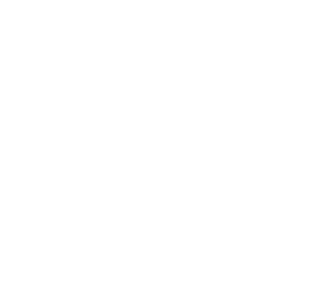 www.progettowhite.it