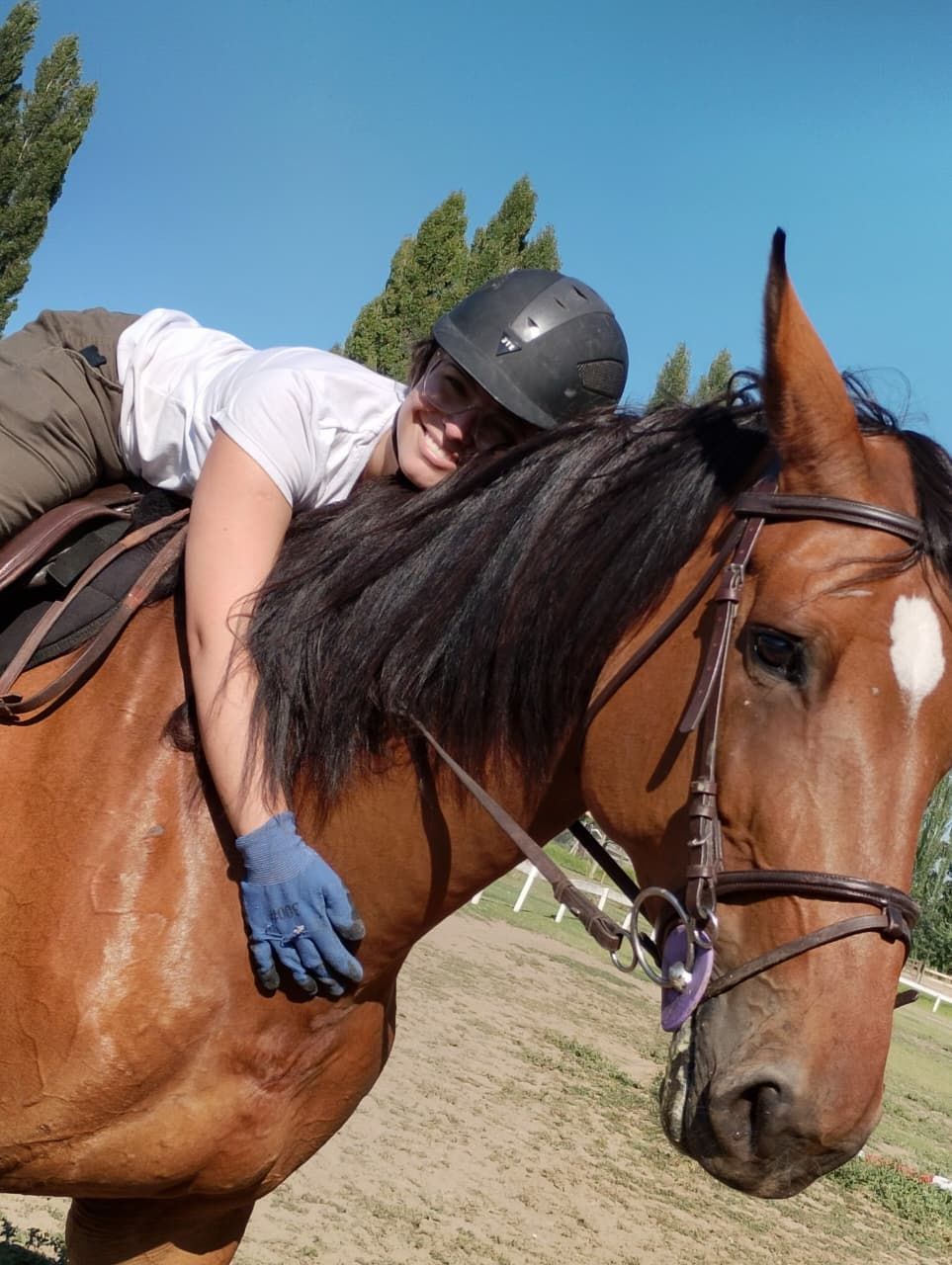 Fundación Ecuestre Alma Equina: un espacio terapéutico integral para el desarrollo y la convivencia social