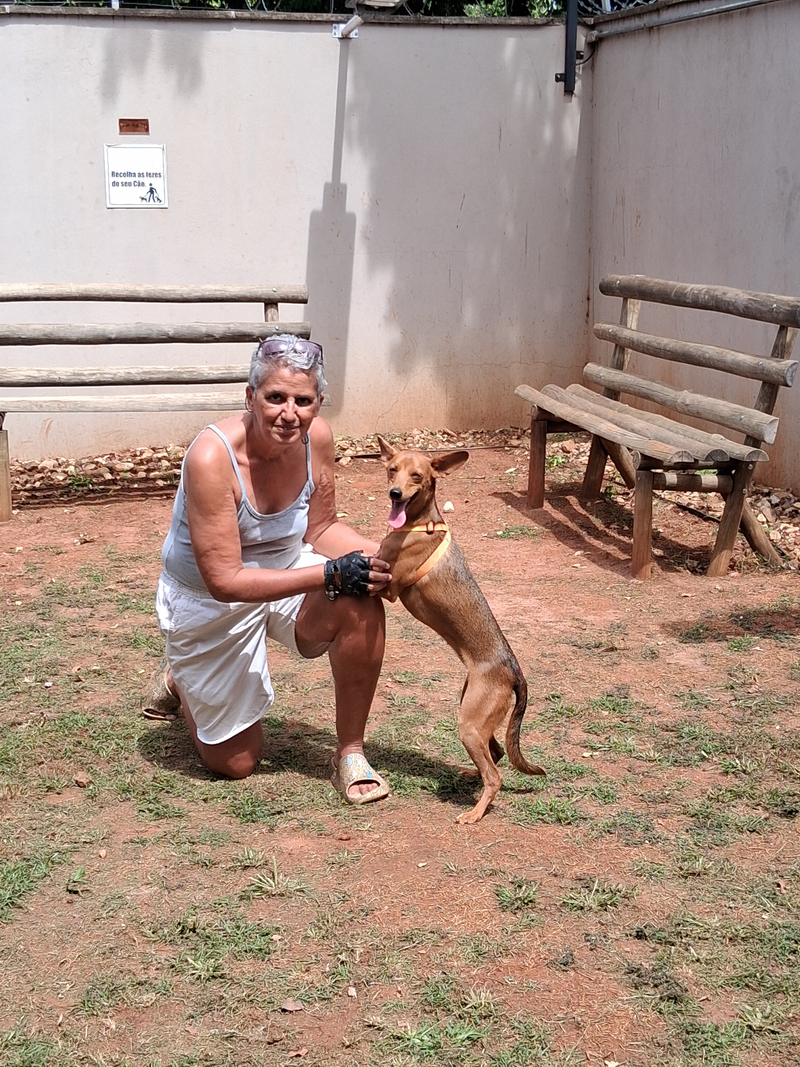 Alimentação e Hidratação