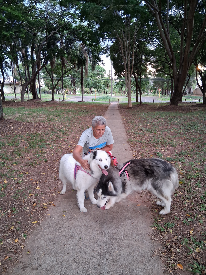 Passeios e Exercícios