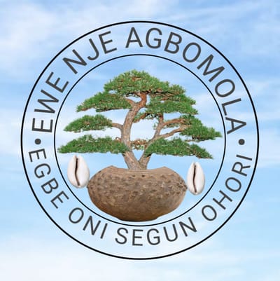 ASSOCIATION DES TRADI-PRATICIENS