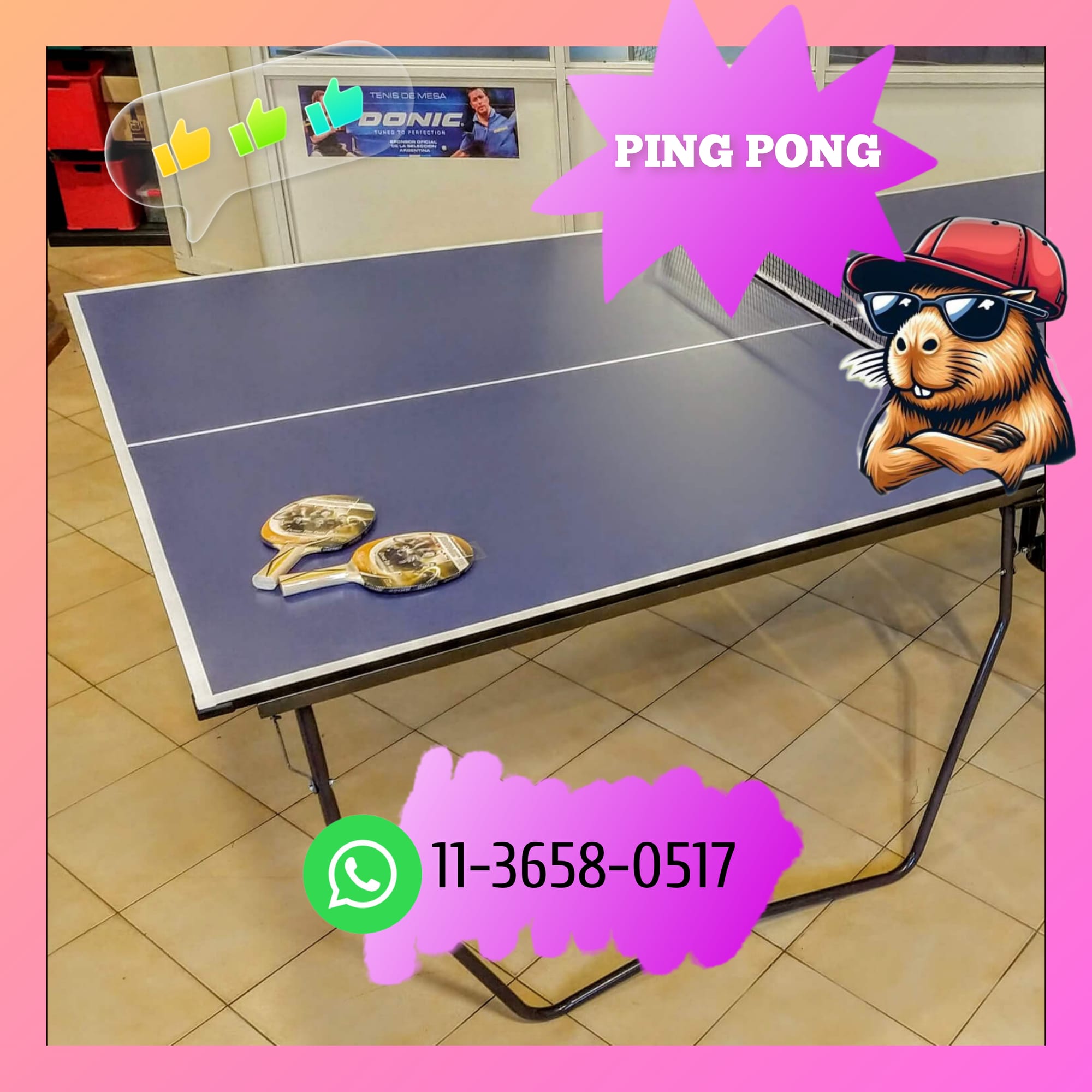 Ping Pong (chico)