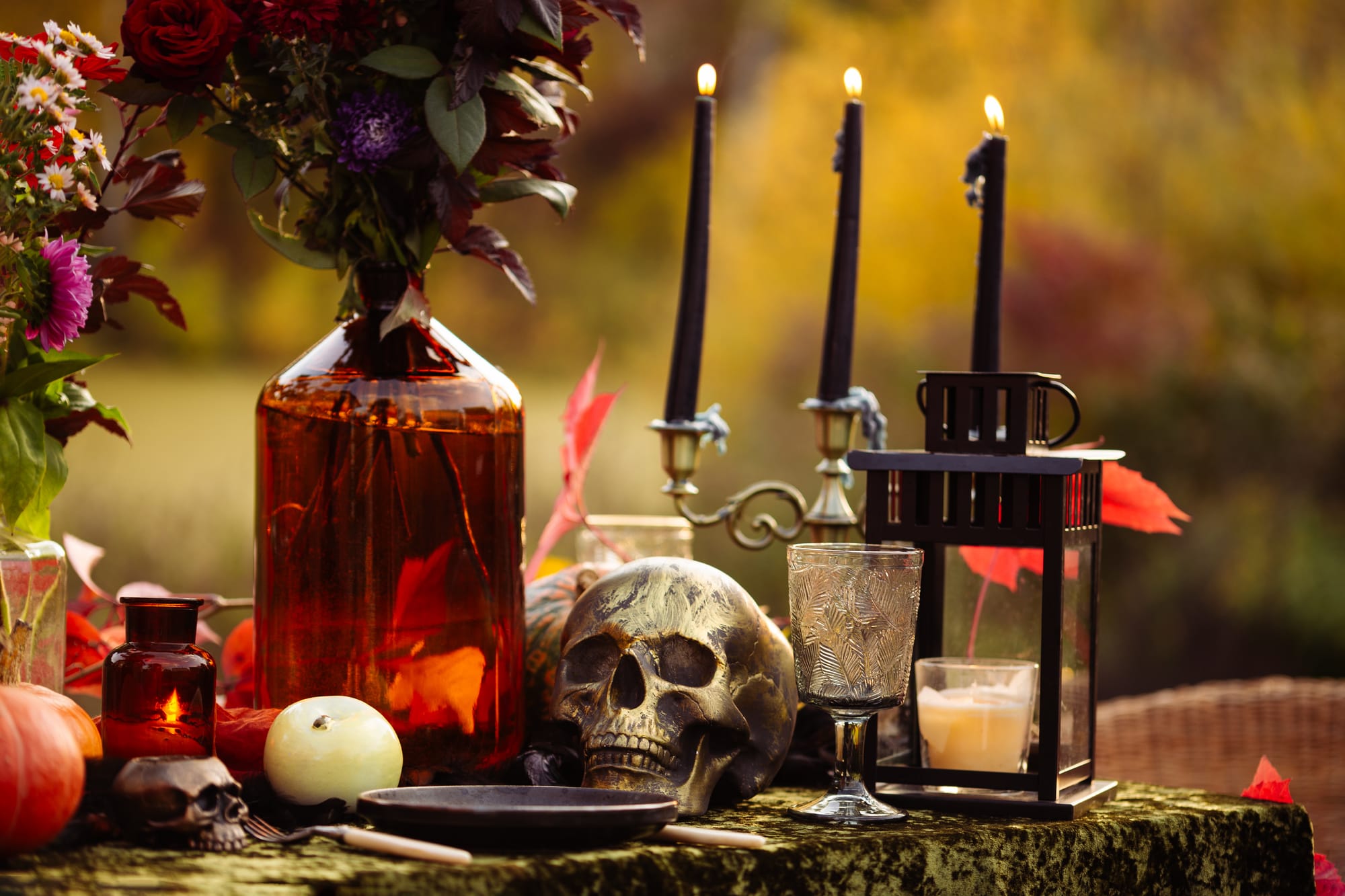 Ogni festa diventa un’esperienza da ricordare