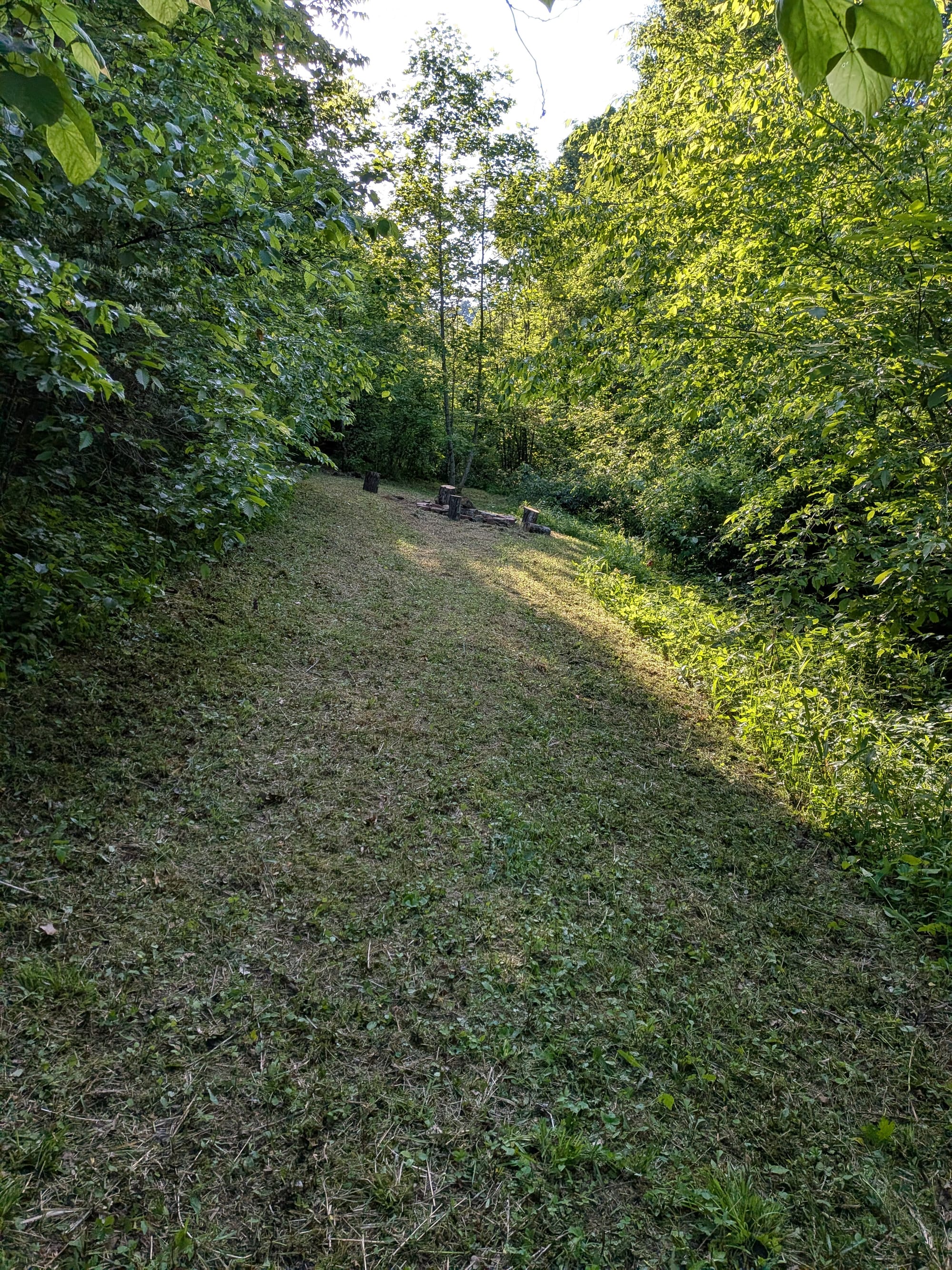 Site #3, Forest Camp
