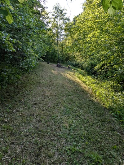 Site #3, Forest Camp