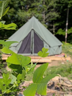 Site 2, Bell Tent