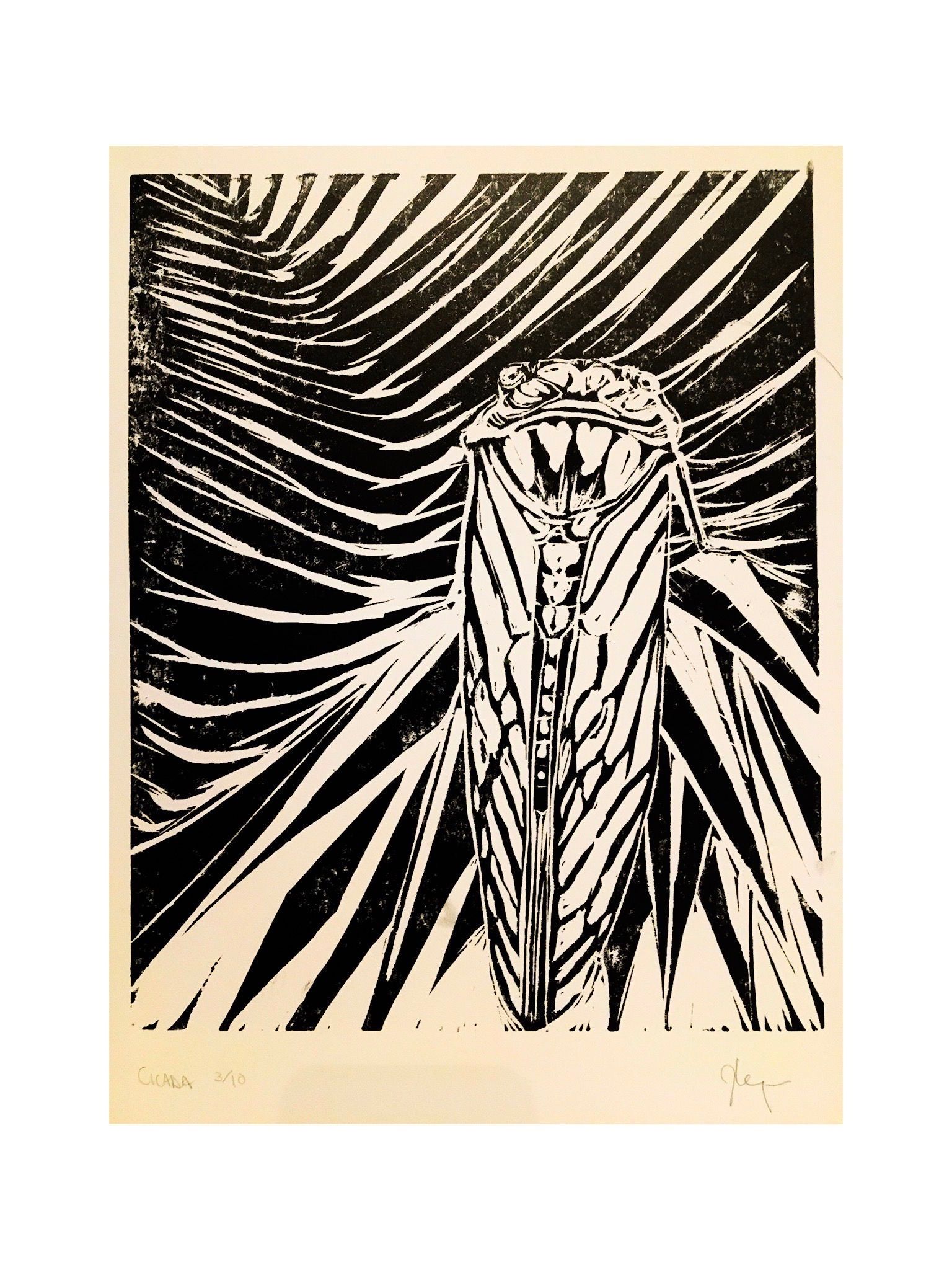 Cicada resting on palm