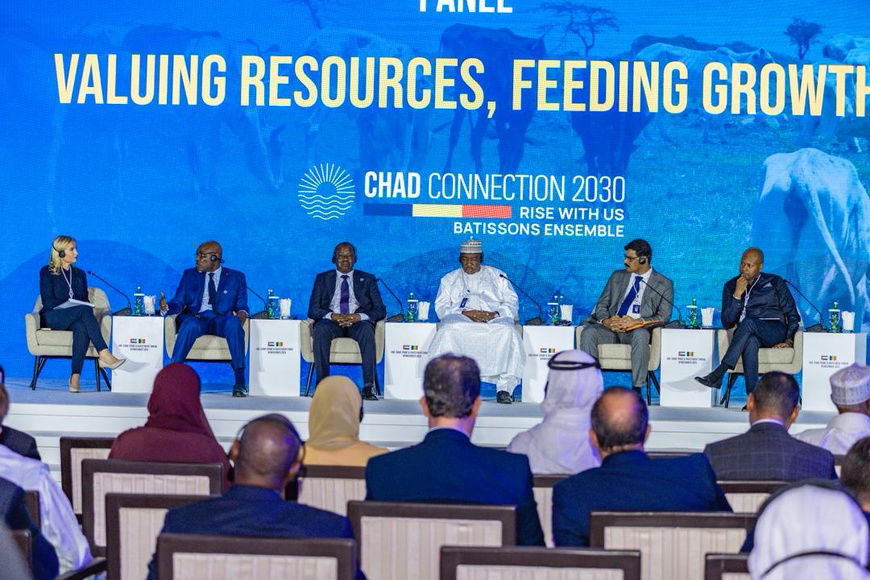 乍得：阿布扎比圆桌会议三天后启动首个正式运营项目
