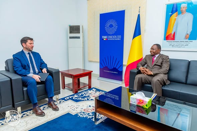 乍得总理会见国际货币基金组织（IMF）驻乍得团长