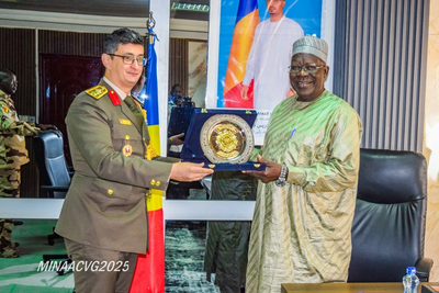 军事外交｜乍得与埃及在恩贾梅纳深化安全合作