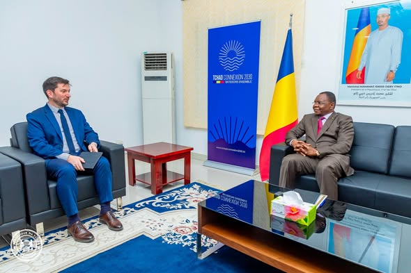 乍得总理会见国际货币基金组织（IMF）驻乍得团长