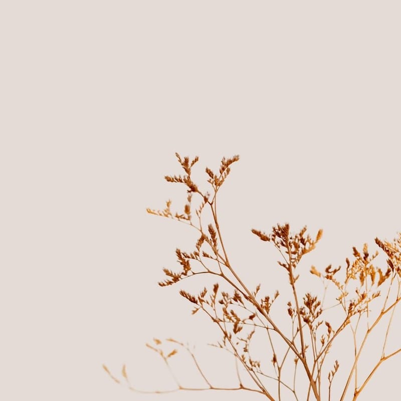 Individual Counselling