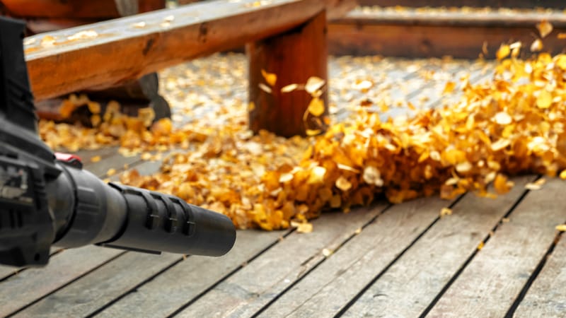 LA Fresh Cleaning Co. provides general outdoor property cleanup for homes that need outdoor areas cleaned and tidied without full landscaping or tree-service work. Outdoor Property Cleanup Starting at $300