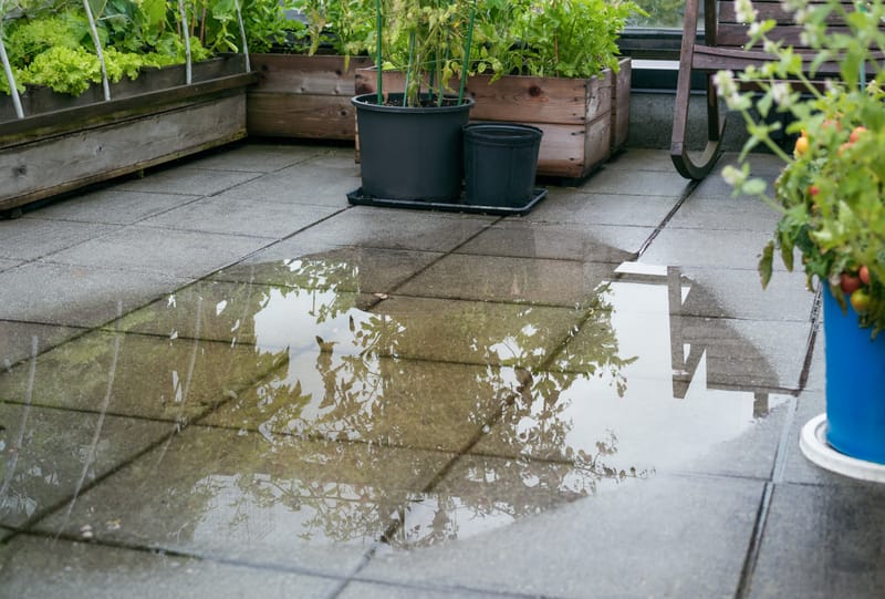 When rain, wind, or severe weather leaves your property dirty, muddy, or covered with light debris, LA Fresh Cleaning Co. can help clean and restore affected areas. Post-Storm Cleaning Starting at $350