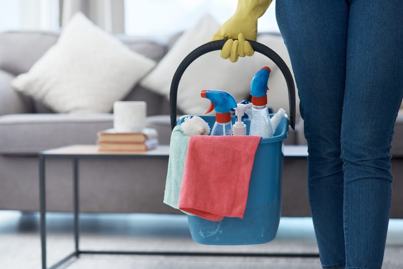 Professional House Cleaning For Homes And Apartments In Rancho Palos Verdes