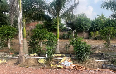 Residential Plots Near Jewar Airport – Smart Living with Maxpine Group