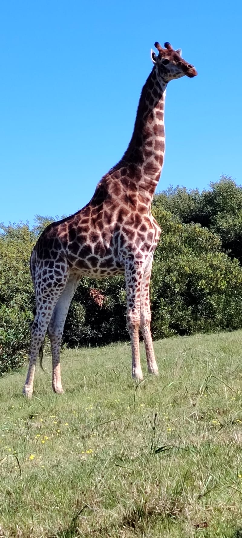 Kragga kamma game park