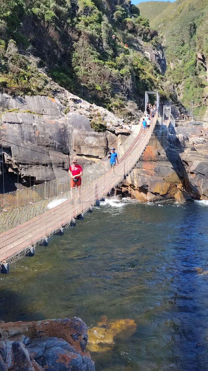 Tsitsikamma national park