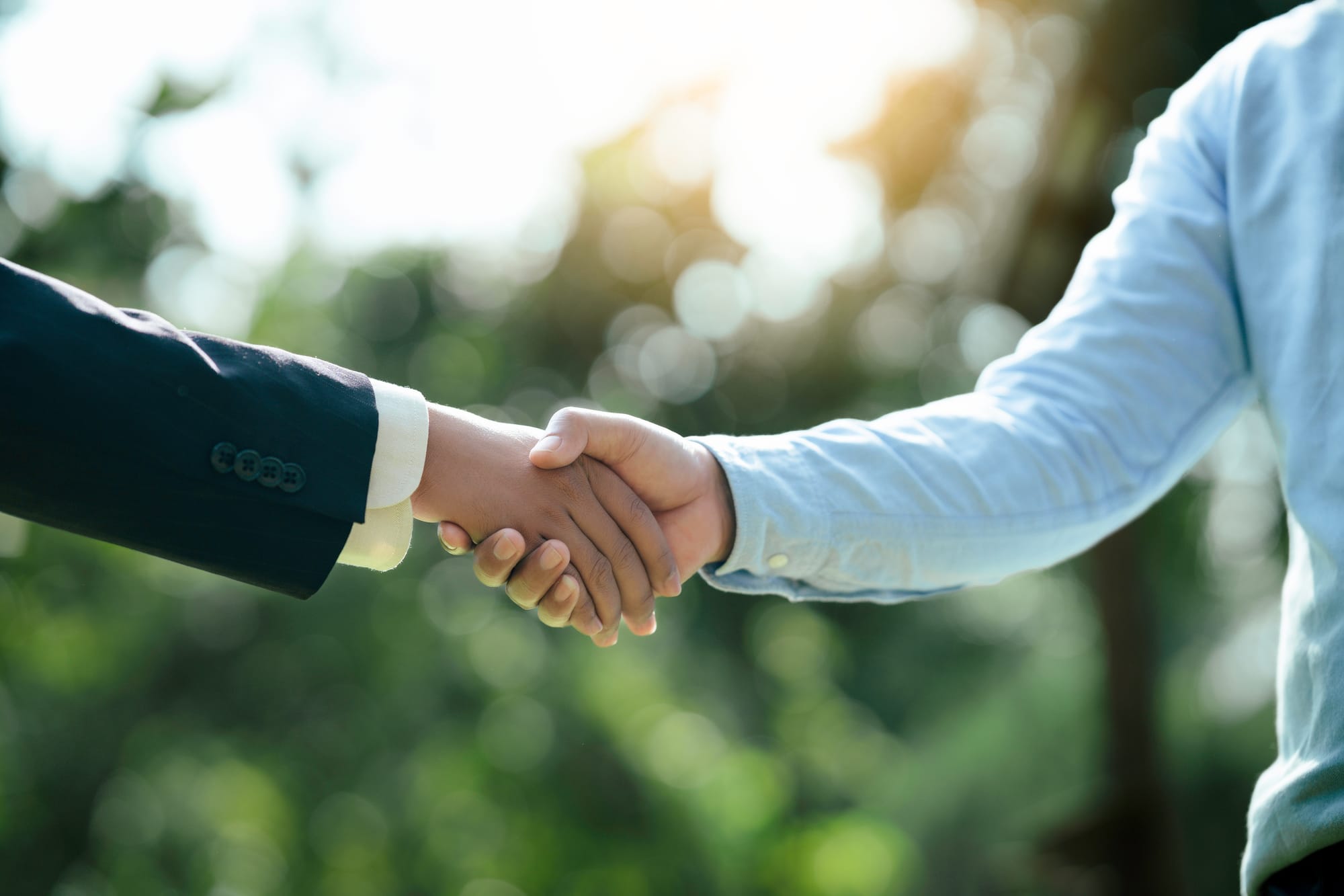 Paisagismo e Valorização de Imóvel