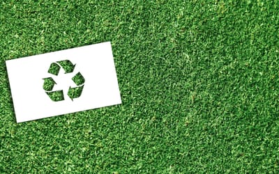 Paisagismo Sustentável: Beleza e Consciência Ambiental