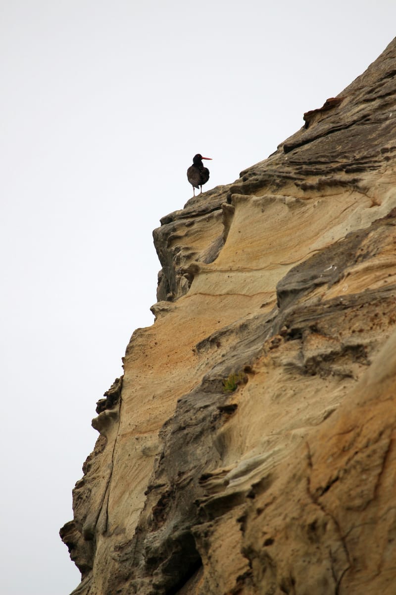 Rock Climbing