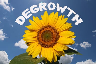 Degrowth i pokrewne koncepcje: czy gospodarka może rozwijać się bez wzrostu?