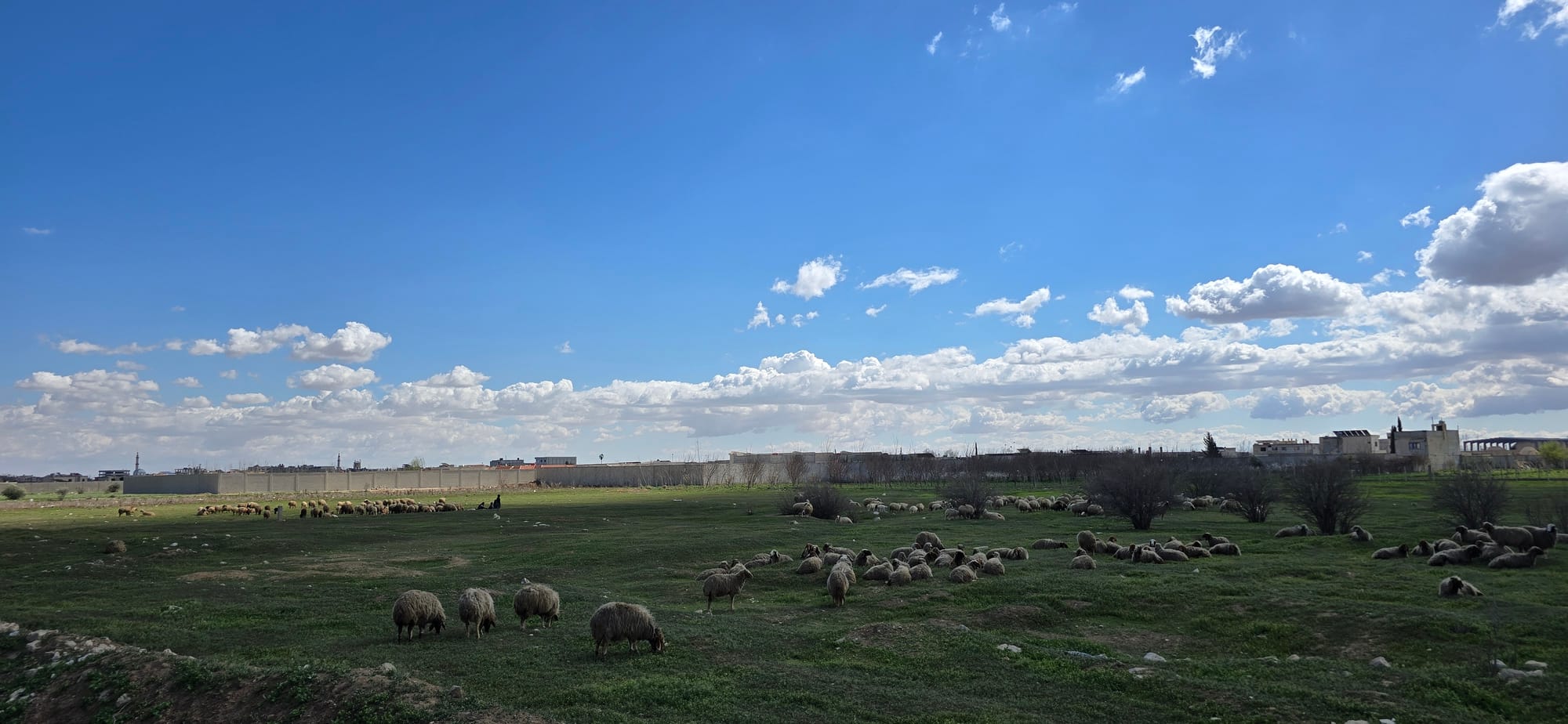 الانتعاش الاقتصادي مفتاح حلّ الأزمات في سورية