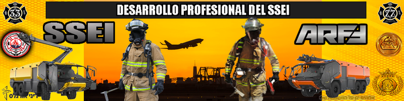 DESARROLLO PROFESIONAL DEL SSEI (una introspectiva personal) SSEI, ARFF