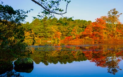 Fall in Cape Cod image