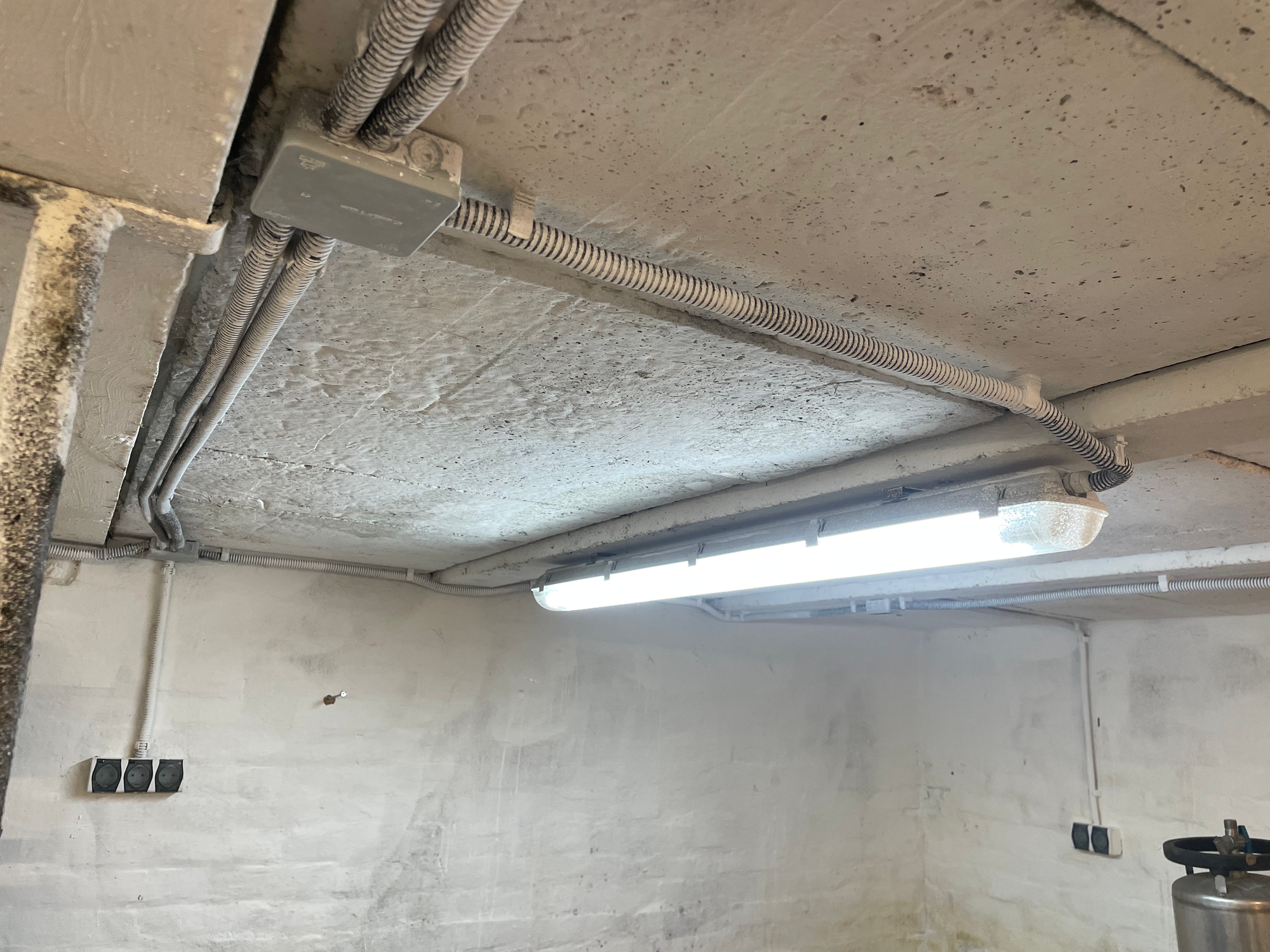 Pince villamos hálózata