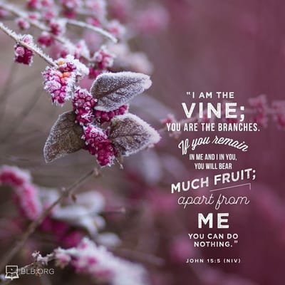 The Illusion of Independence: A Spiritual Reflection on Freedom and Dependence by Tina Malaty