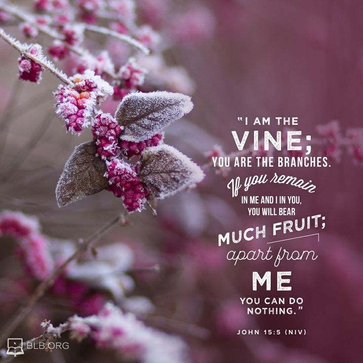 The Illusion of Independence: A Spiritual Reflection on Freedom and Dependence by Tina Malaty