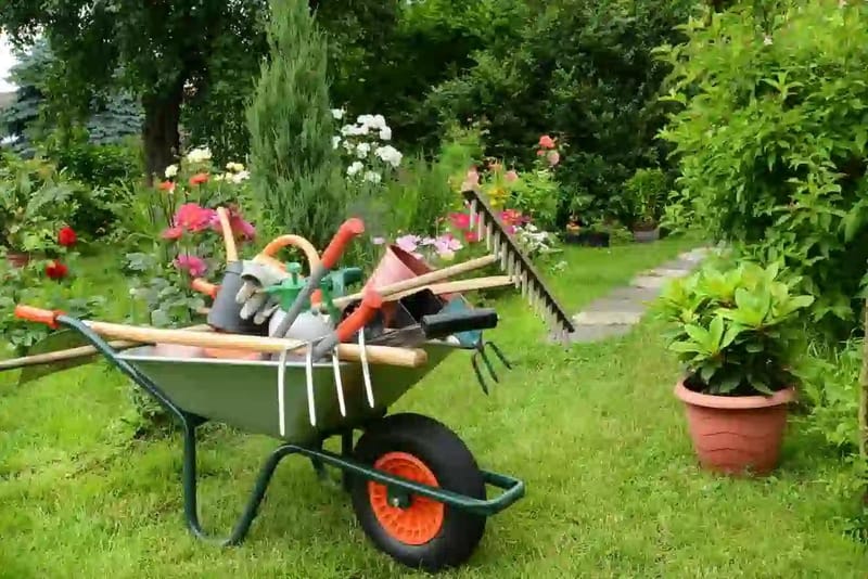 صيانة الحدائق