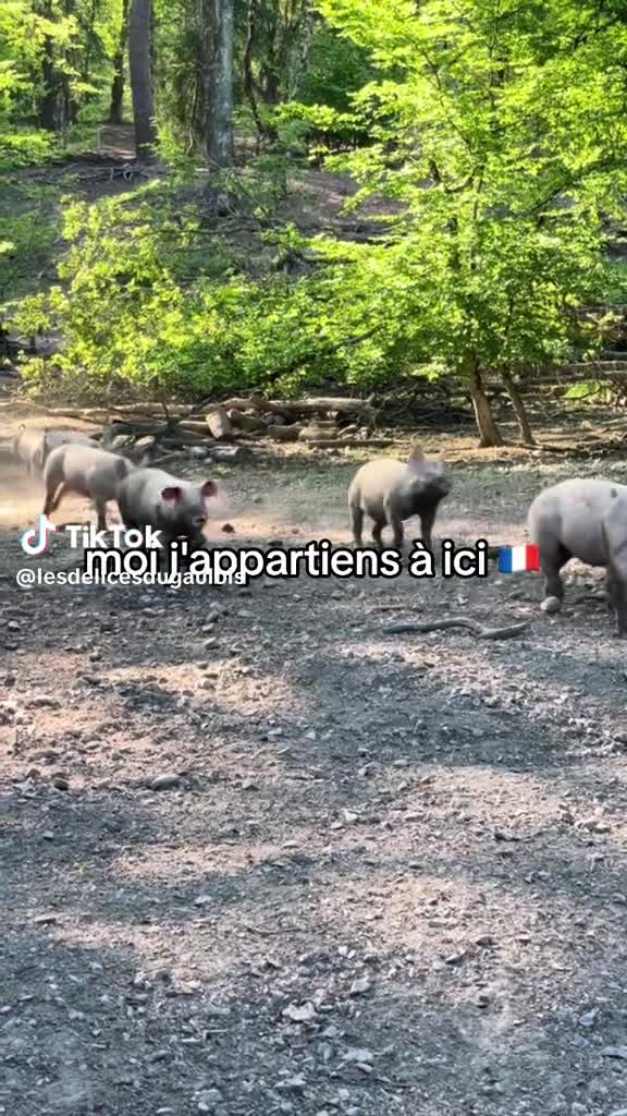 Vidéo unique thumbnail