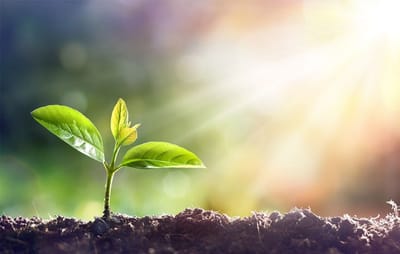 Σαρακοστή & Άνοιξη: Η Βιολογία της Επανεκκίνησης⁸