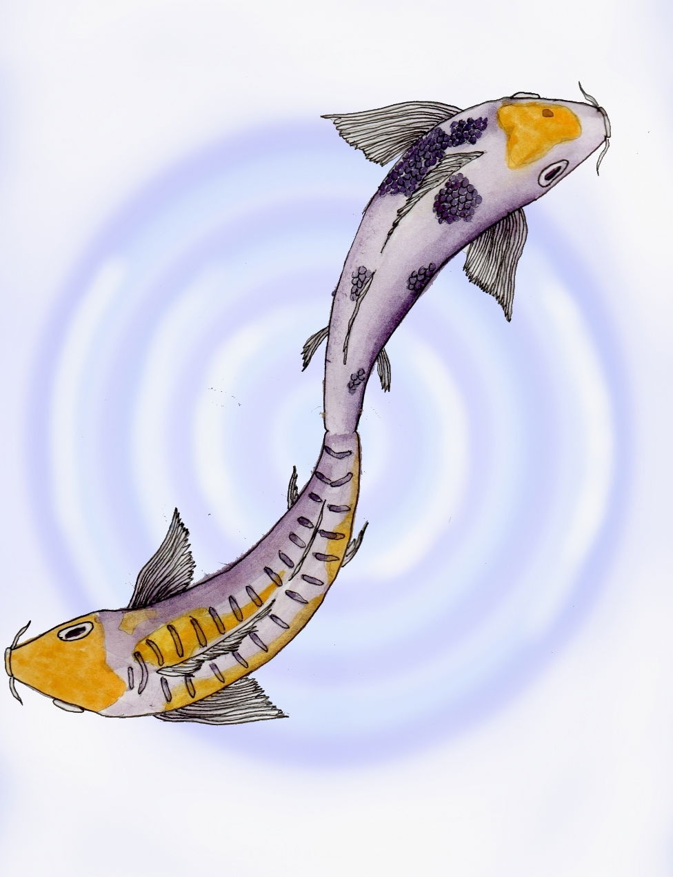 Prinzip 3: Gemeinsamer Ursprung