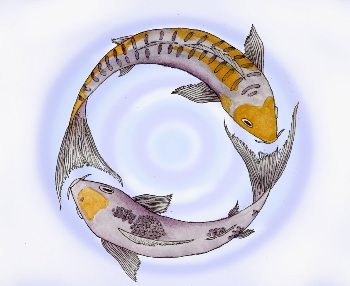 Prinzip 2: Kreislauf