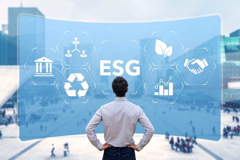 Sustainable Business Growth Consulting