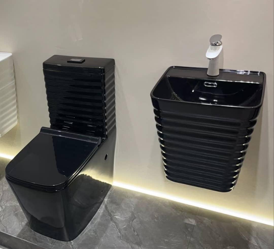 Black Water closet and wash hand basin
