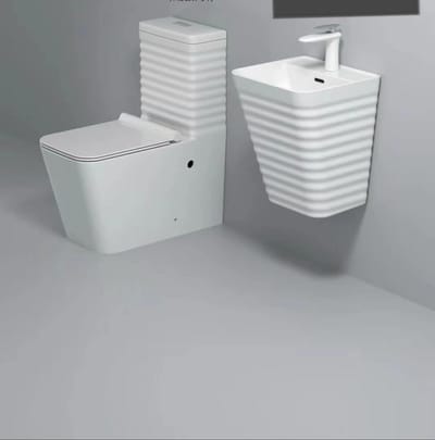 White water closet and washing basin
