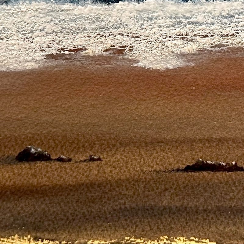 Llegando a la orilla. Cuatro piedras (2025)