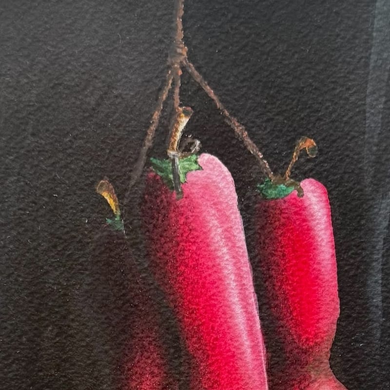 Pimientos y tomate (2025)