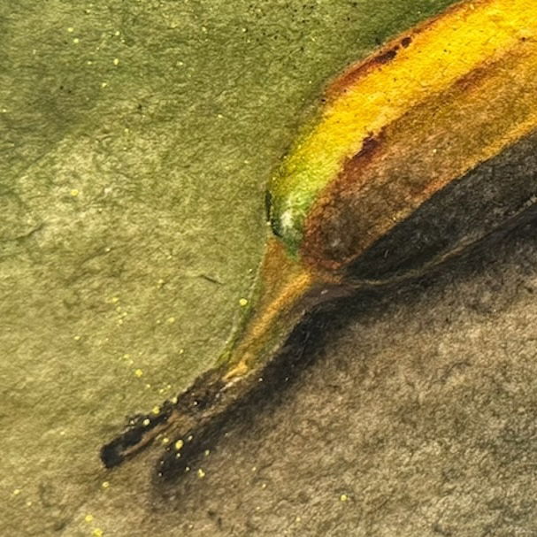 Plátano y limón (2024)