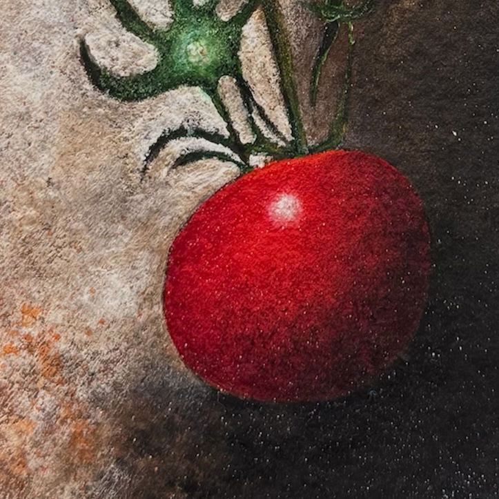 Tomate solitario (2024)