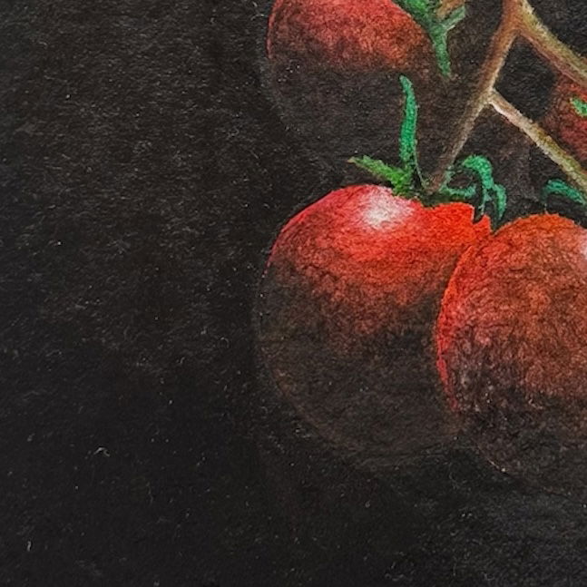 Tomates colgados (2024)