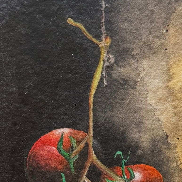 Tomates colgados (2024)