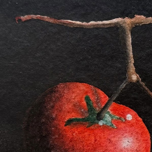 Tomate en rama (2024)