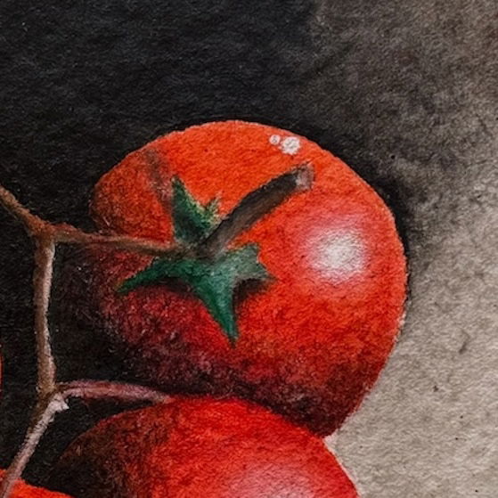 Tomate en rama (2024)